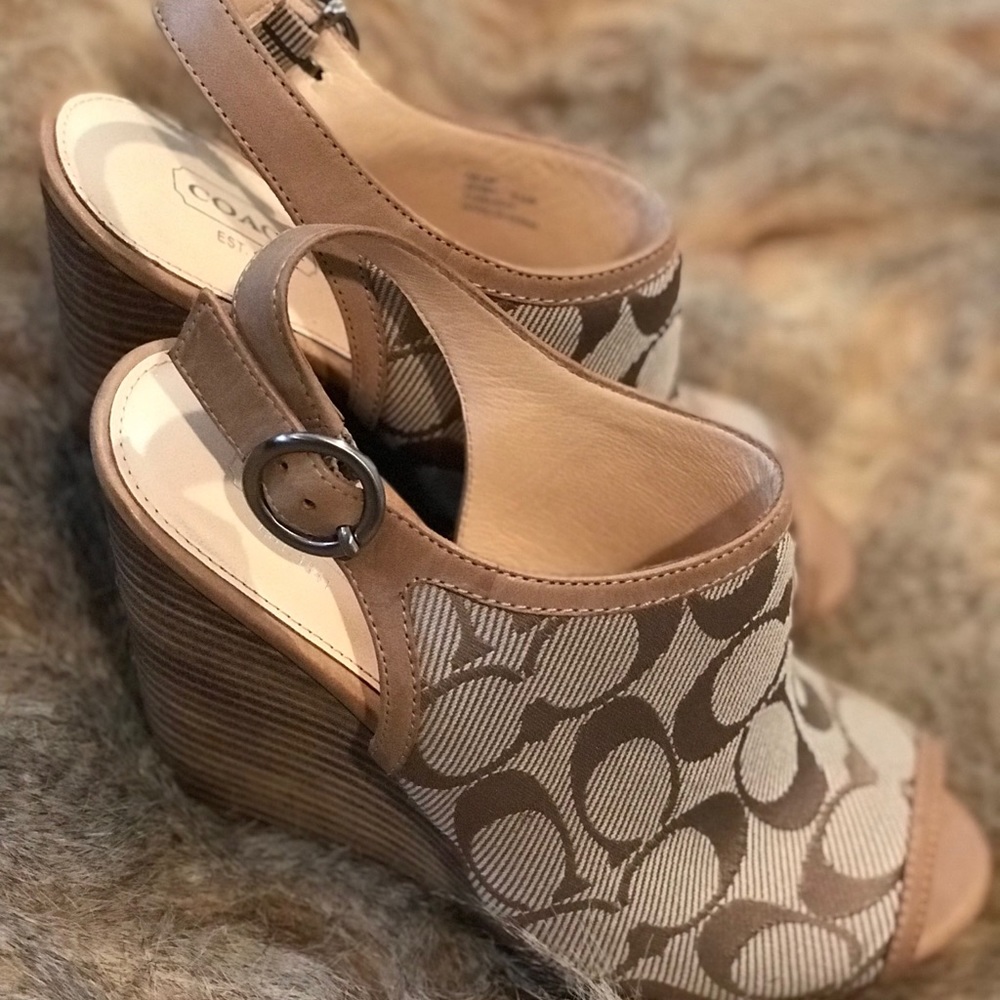 Coach platform wedge